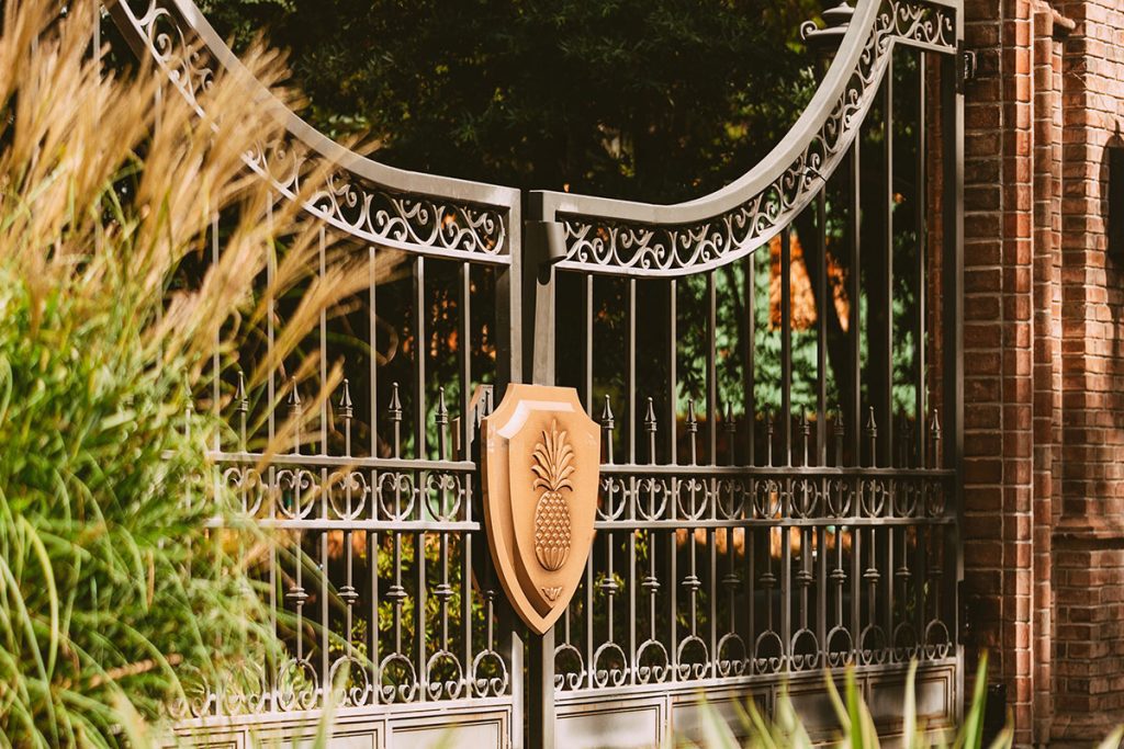 Pine Island | Tipler