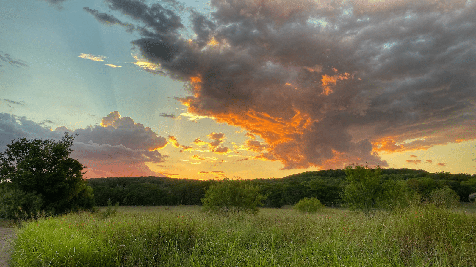 Retirement in the Texas Hill Country | TIPLER Group